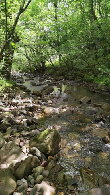 Amplia Y Comoda Casa De Piedra Con Porche Y Jardin San Roque de Ríomiera Zewnętrze zdjęcie