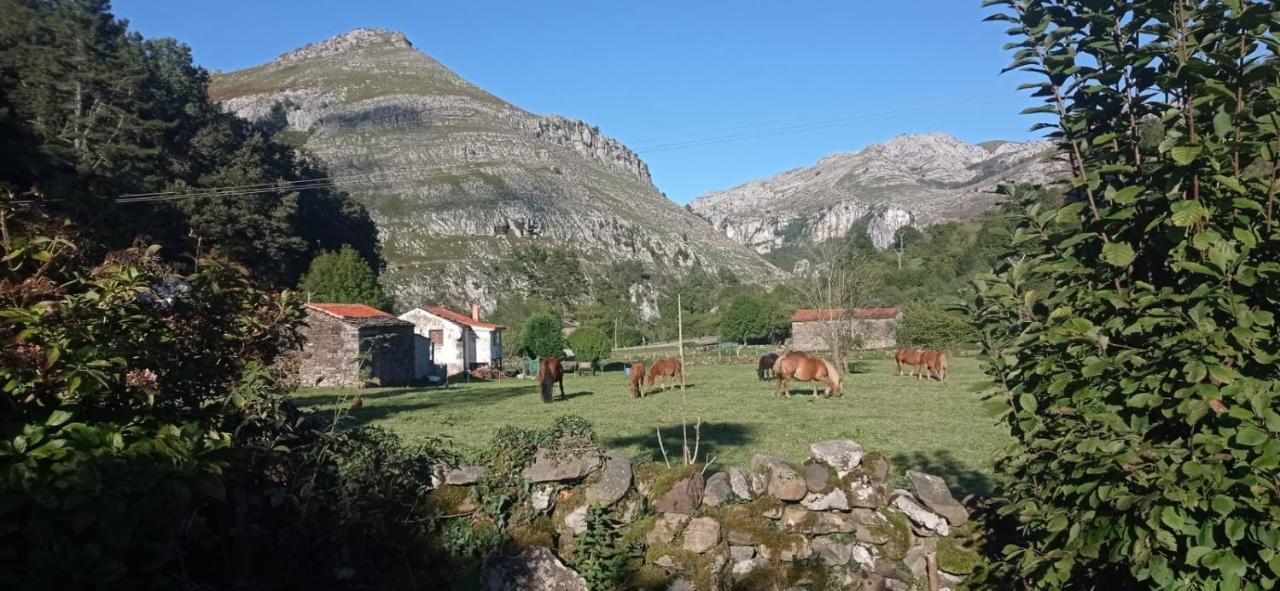 Amplia Y Comoda Casa De Piedra Con Porche Y Jardin San Roque de Ríomiera Zewnętrze zdjęcie