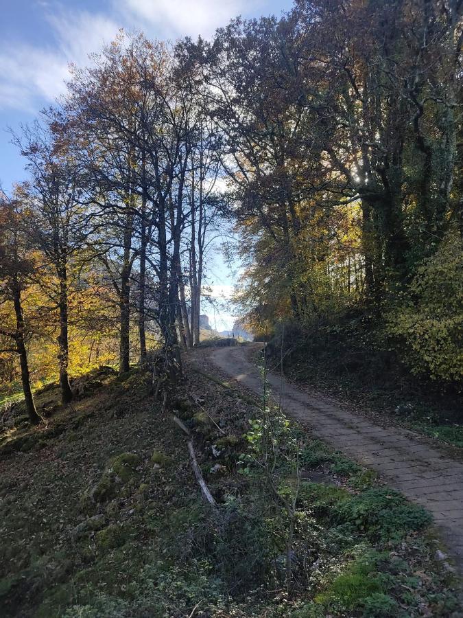 Amplia Y Comoda Casa De Piedra Con Porche Y Jardin San Roque de Ríomiera Zewnętrze zdjęcie