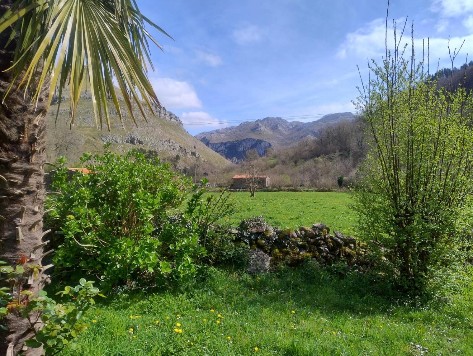 Amplia Y Comoda Casa De Piedra Con Porche Y Jardin San Roque de Ríomiera Zewnętrze zdjęcie